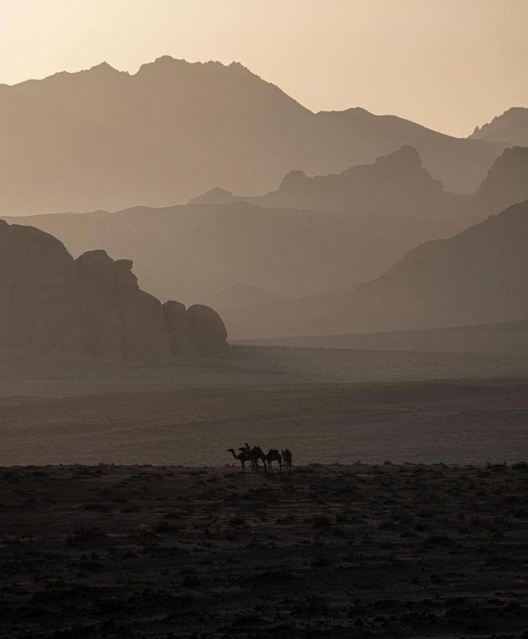 Wadirum Zeid Camp&Tours Wadi Rum Exterior photo